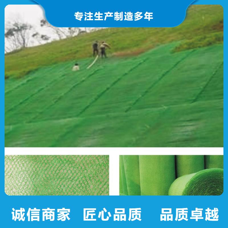【三维植被网_钢塑土工格栅实力商家供货稳定】自产自销