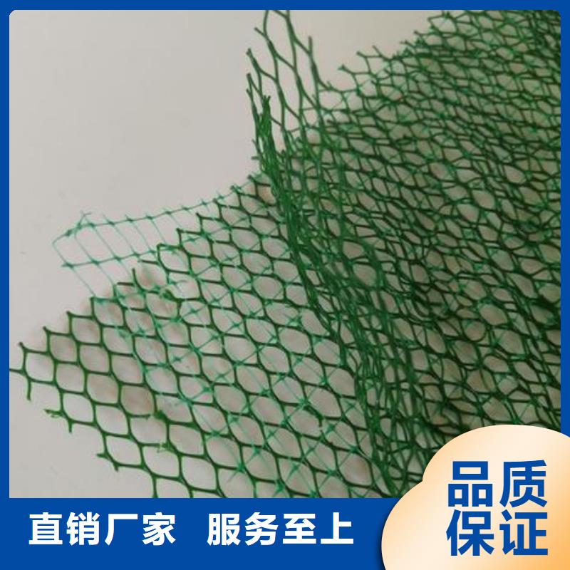 三维植被网单向塑料土工格栅现货采购交货准时