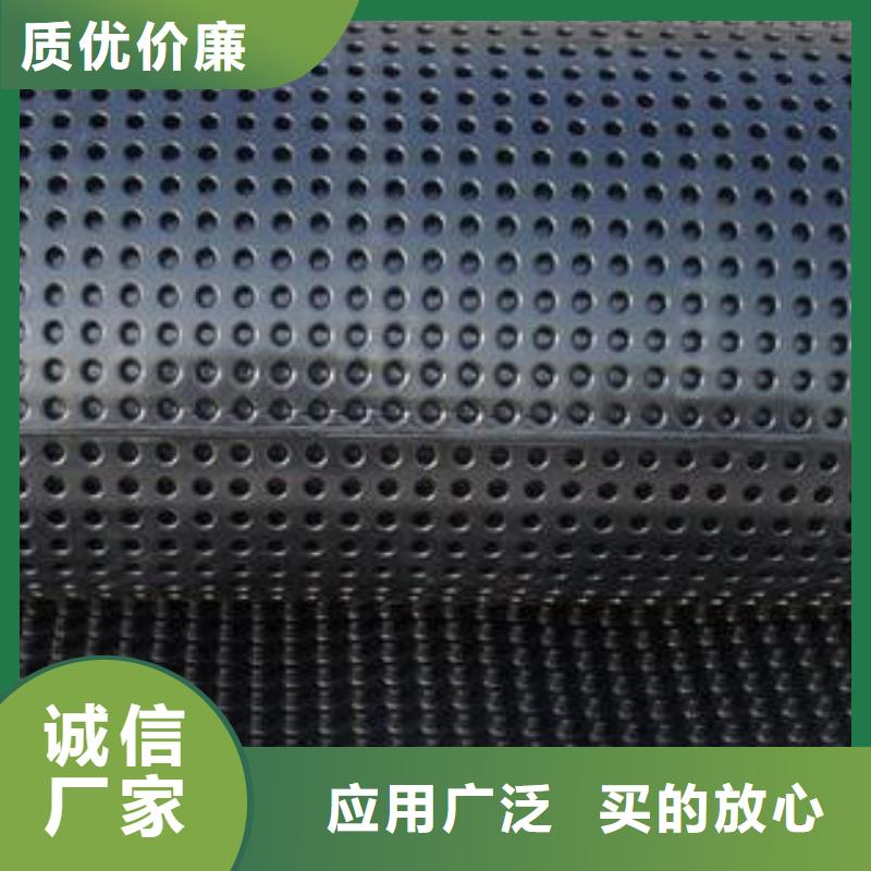 塑料排水板-HDPE土工膜诚信可靠质量上乘