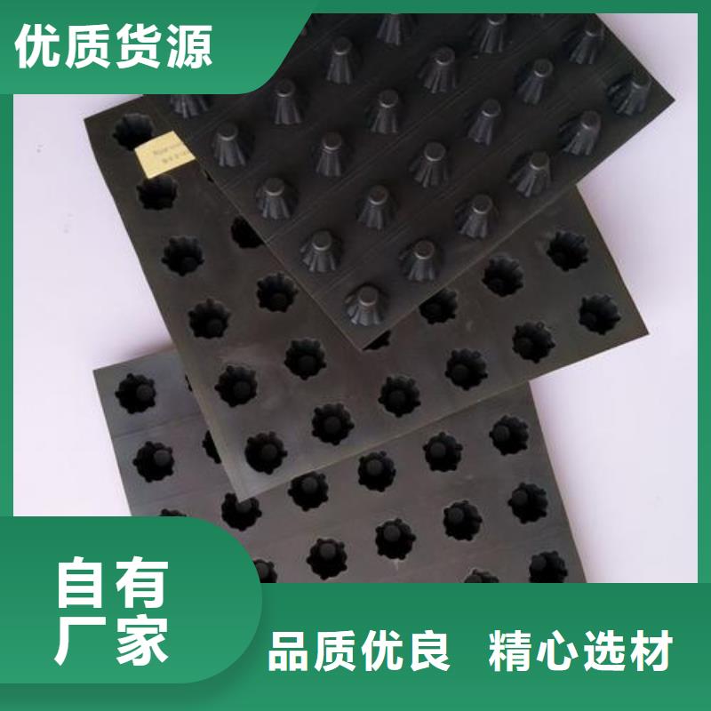 塑料排水板防渗土工膜多种规格供您选择工厂采购