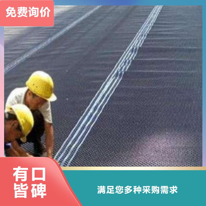 塑料排水板涤纶土工格栅实地大厂同城生产厂家