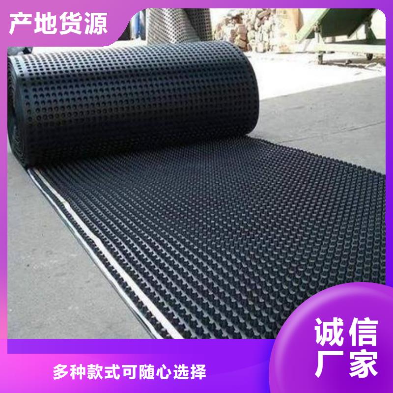 塑料排水板_土工格栅高品质现货销售本地品牌