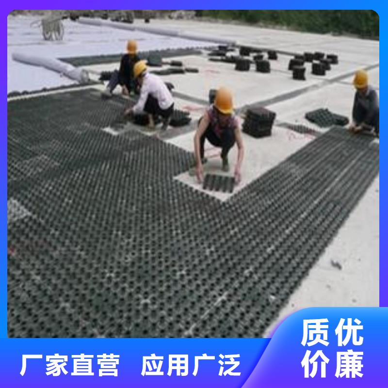 塑料排水板玻纤土工格栅好货直销同城生产商