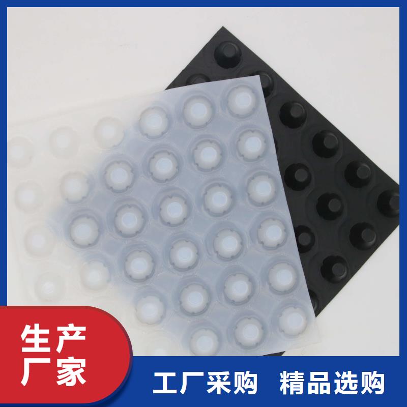 塑料排水板【防渗土工膜】满足您多种采购需求多种规格供您选择