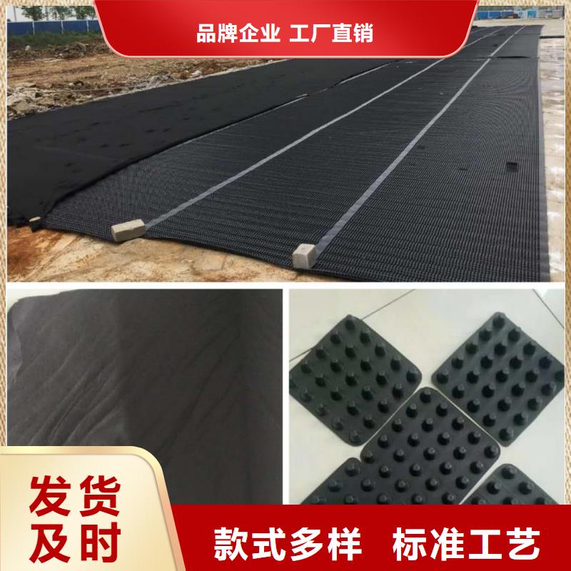 塑料排水板钢塑土工格栅24小时下单发货本地生产商