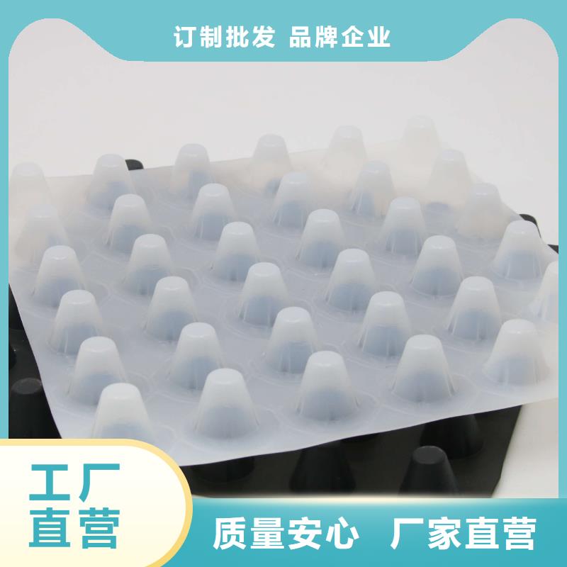 【塑料排水板】防渗膜专注生产N年无中间商厂家直销