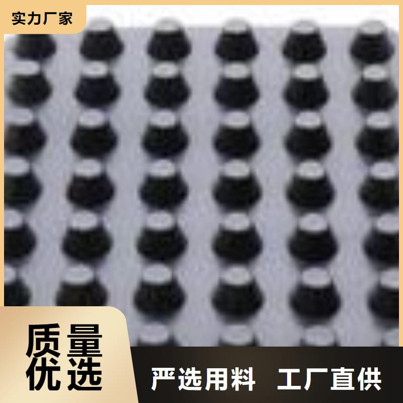 塑料排水板三维土工网垫实力优品厂家售后完善