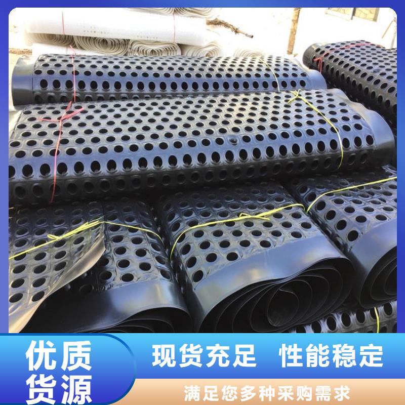 塑料排水板-【钢塑土工格栅】厂家现货供应当地制造商