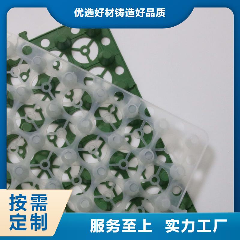 【塑料排水板】三维土工网垫库存量大同城厂家