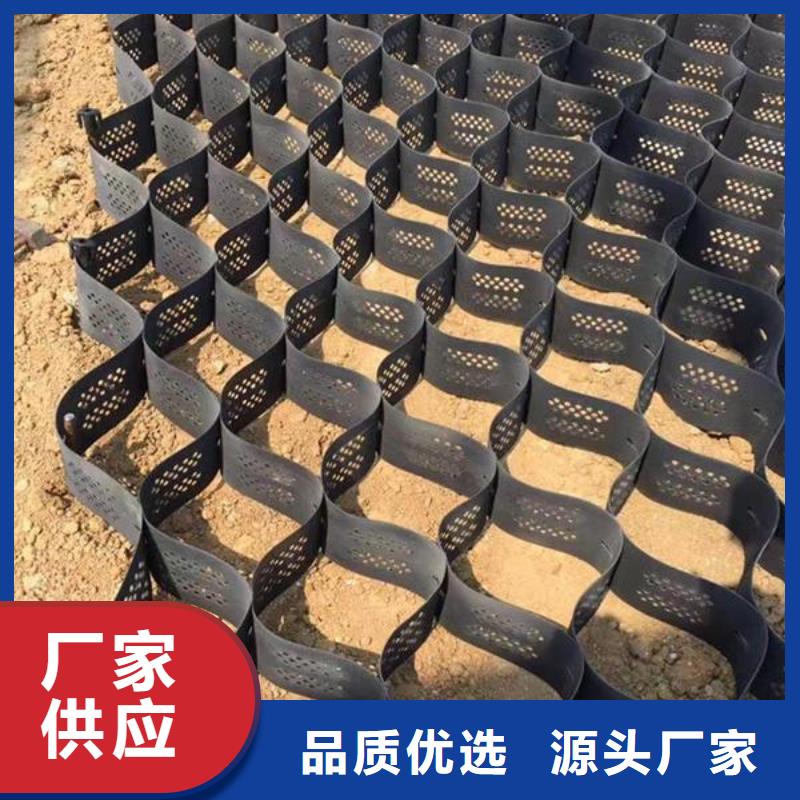 土工格室塑料土工格栅产品优势特点现货直供