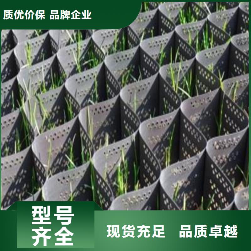 【土工格室】HDPE土工膜源头厂商省心又省钱