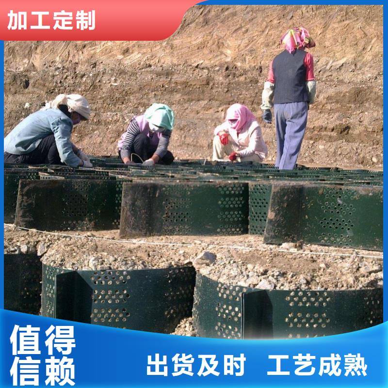 土工格室防水毯严格把控每一处细节多年实力厂家