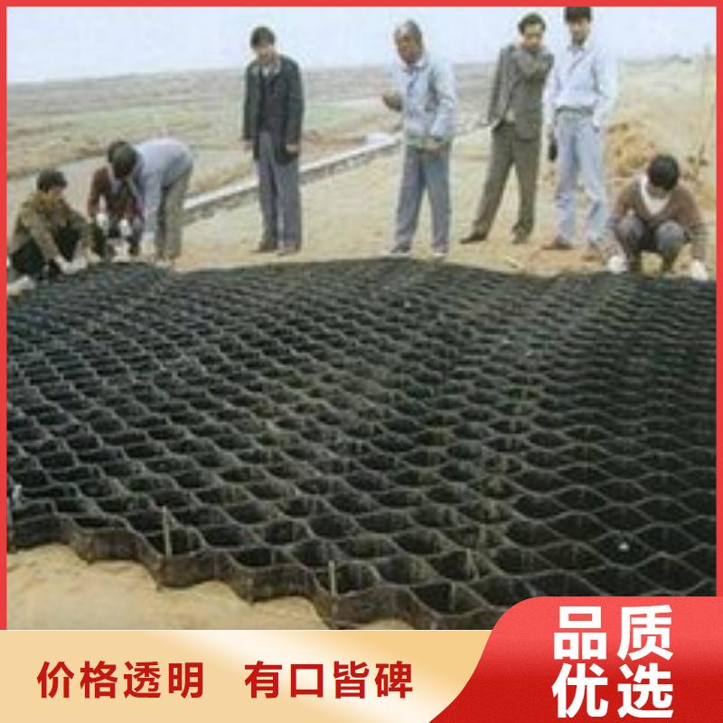土工格室三维土工网垫品质无所畏惧当地生产商