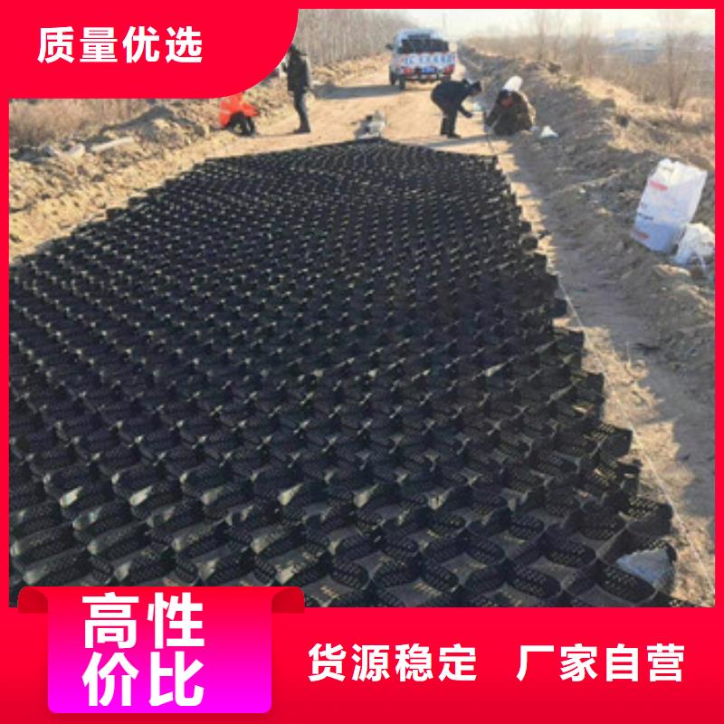 土工格室钢塑土工格栅一手货源源头厂家实力雄厚品质保障