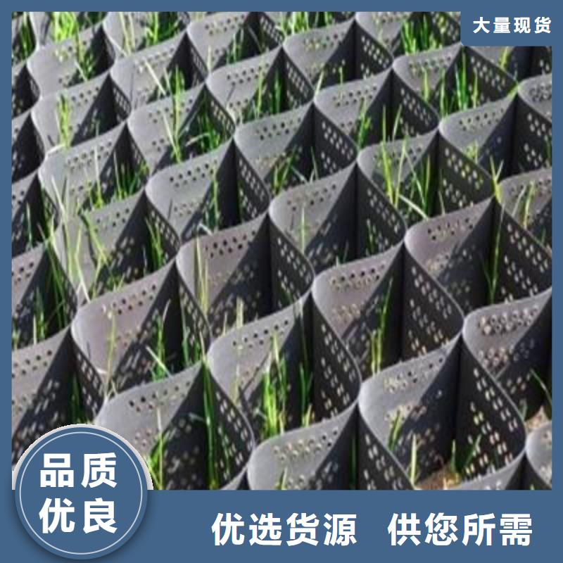 【土工格室复合土工膜工期短发货快】本地生产商