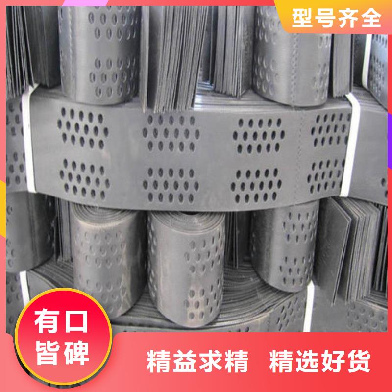 土工格室【凸结点钢塑土工格栅】认准大品牌厂家本地品牌