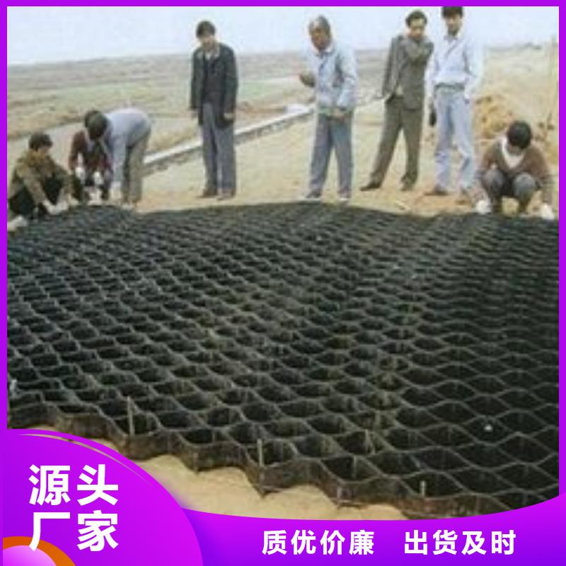 土工格室三维土工网垫欢迎来电询价实体厂家大量现货
