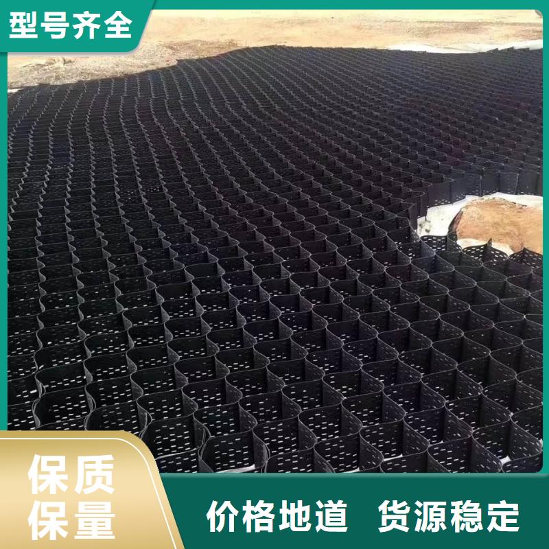 土工格室【钢塑土工格栅】供您所需当地货源