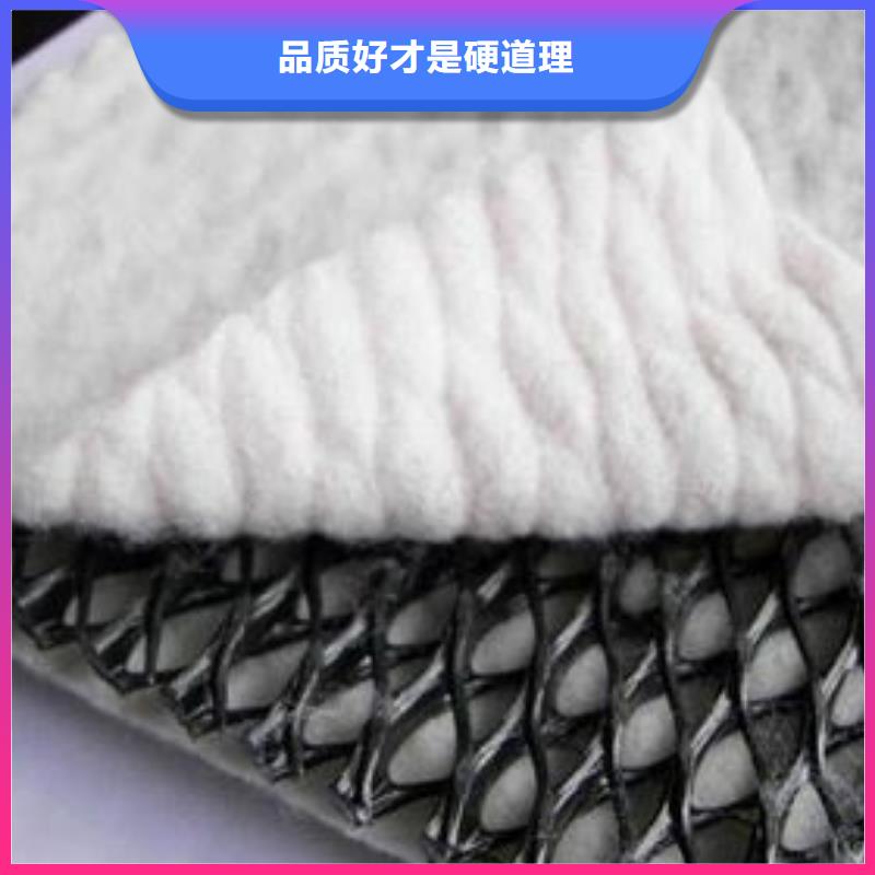 三维复合排水网-垃圾填埋场材料质量看得见价格有优势