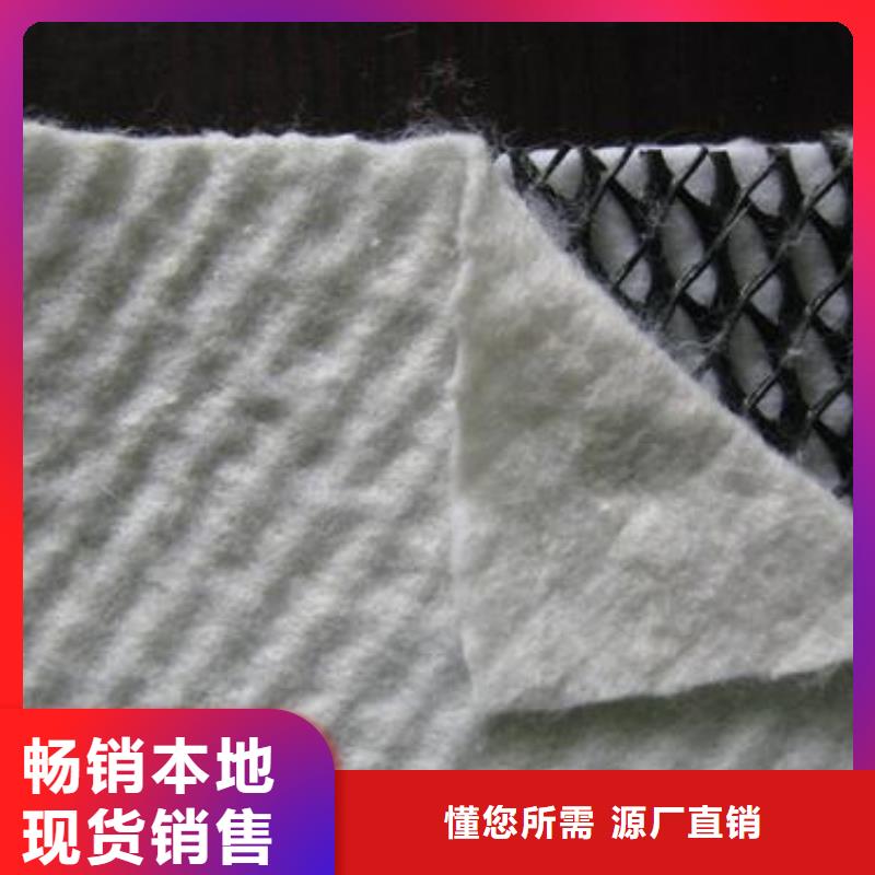 【三维复合排水网】,塑料土工格栅品质服务诚信为本本地生产厂家