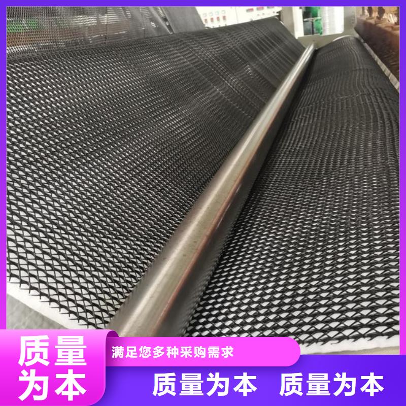 三维复合排水网_钢塑土工格栅实力才是硬道理省心又省钱