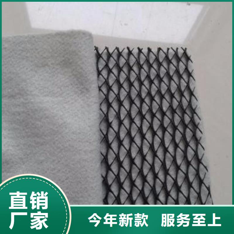 三维复合排水网塑料土工格栅工厂现货供应同城供应商