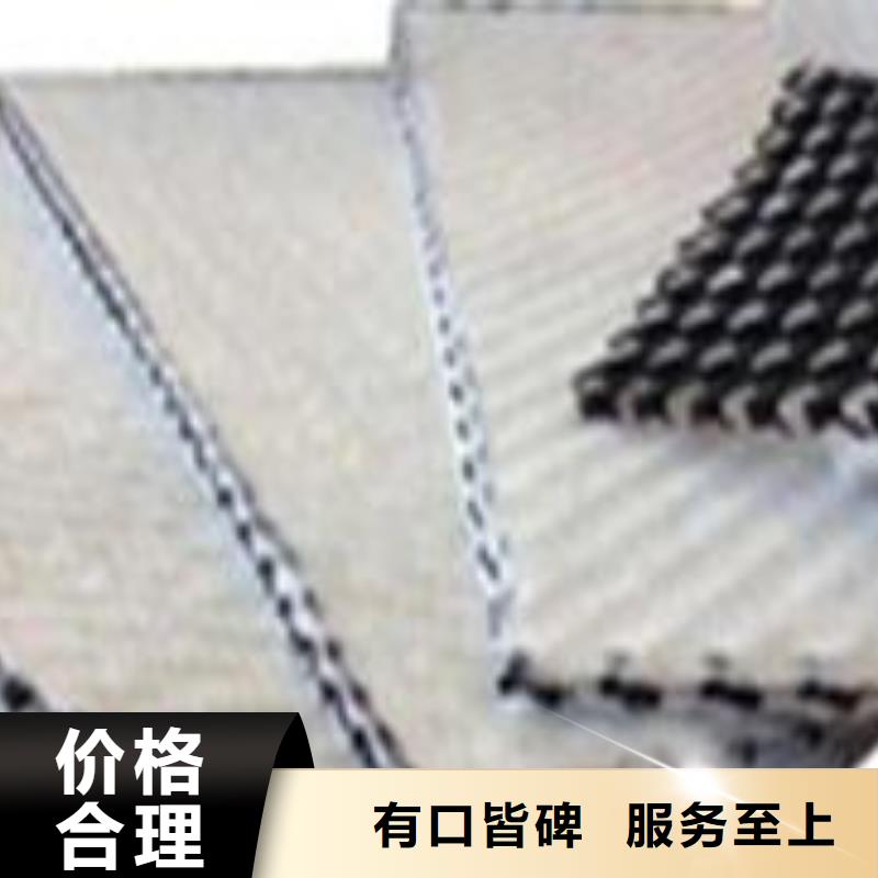 三维复合排水网-钢塑土工格栅今年新款品质好才是硬道理