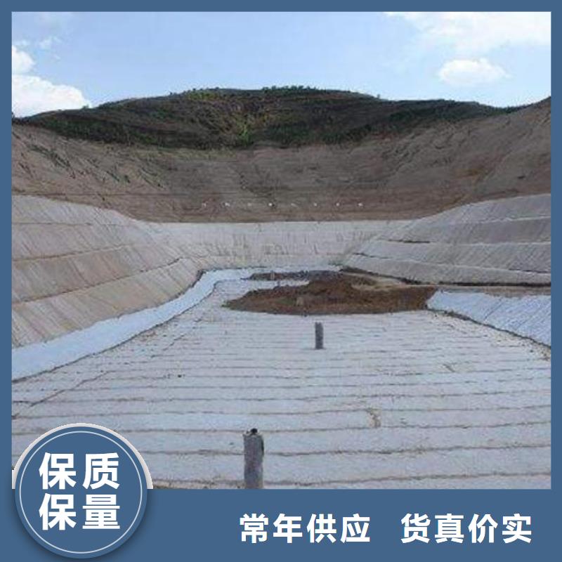 三维复合排水网,【塑料土工格栅】物美价优热销产品