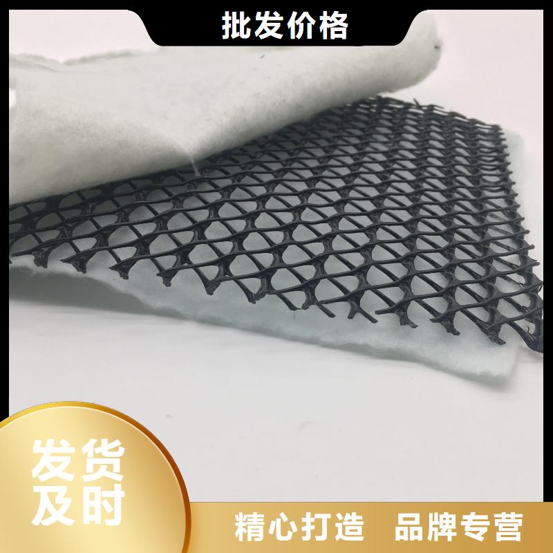 三维复合排水网,塑料土工格栅定金锁价精工制作