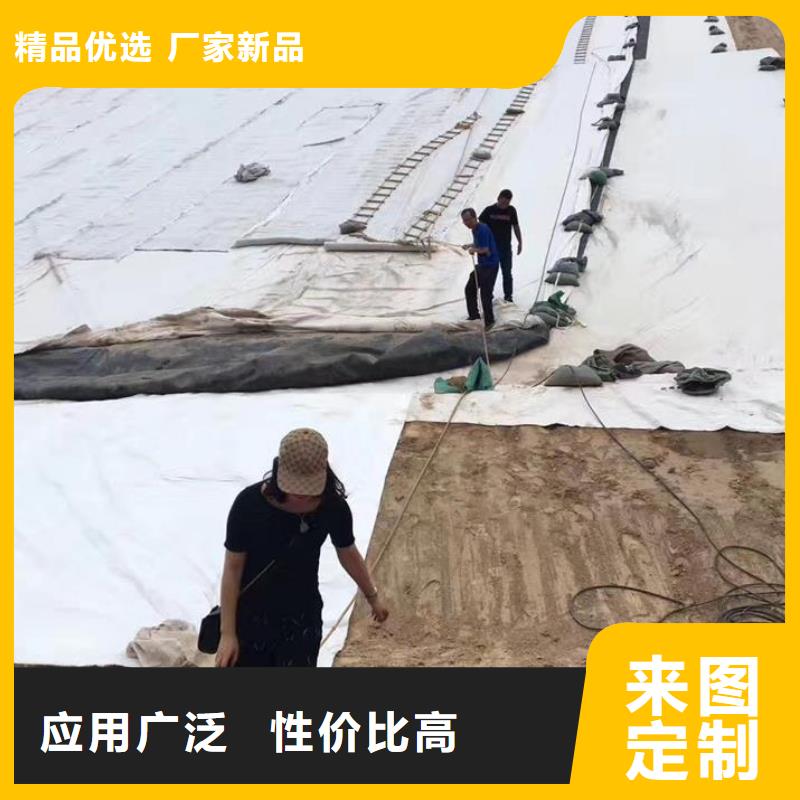 三维复合排水网复合土工膜品质优选厂家批发价