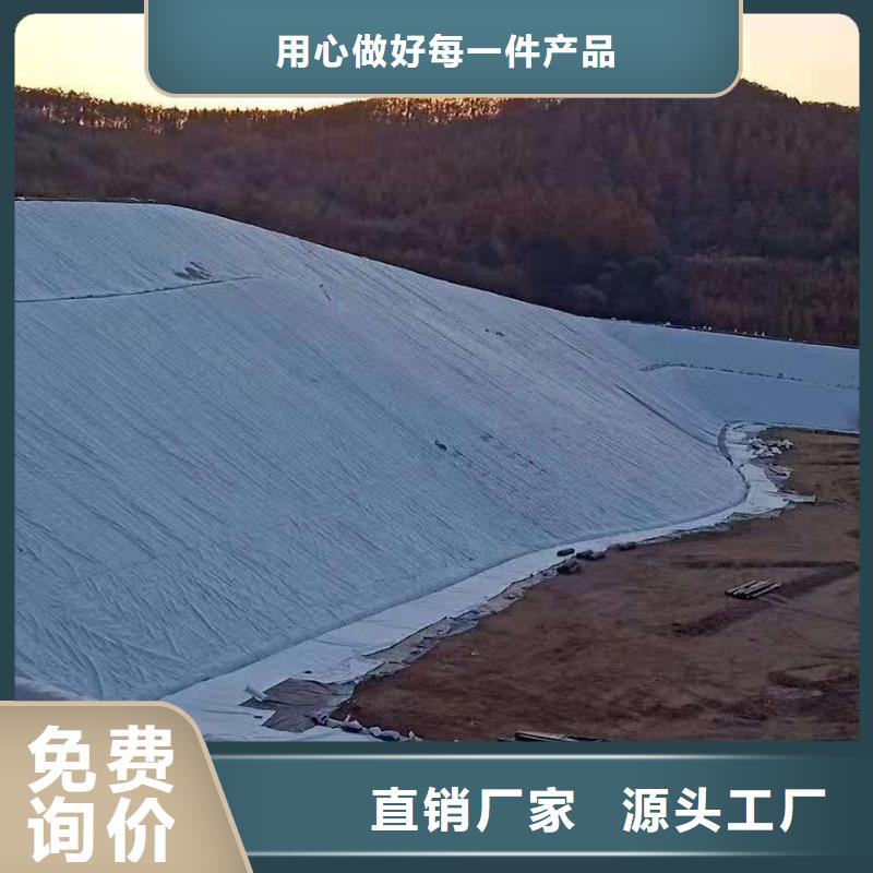 【三维复合排水网】三维土工网垫规格型号全同城货源