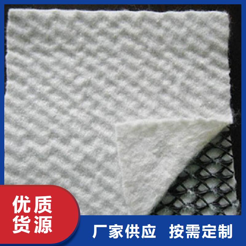 三维复合排水网-复合土工膜好品质用的放心同城公司