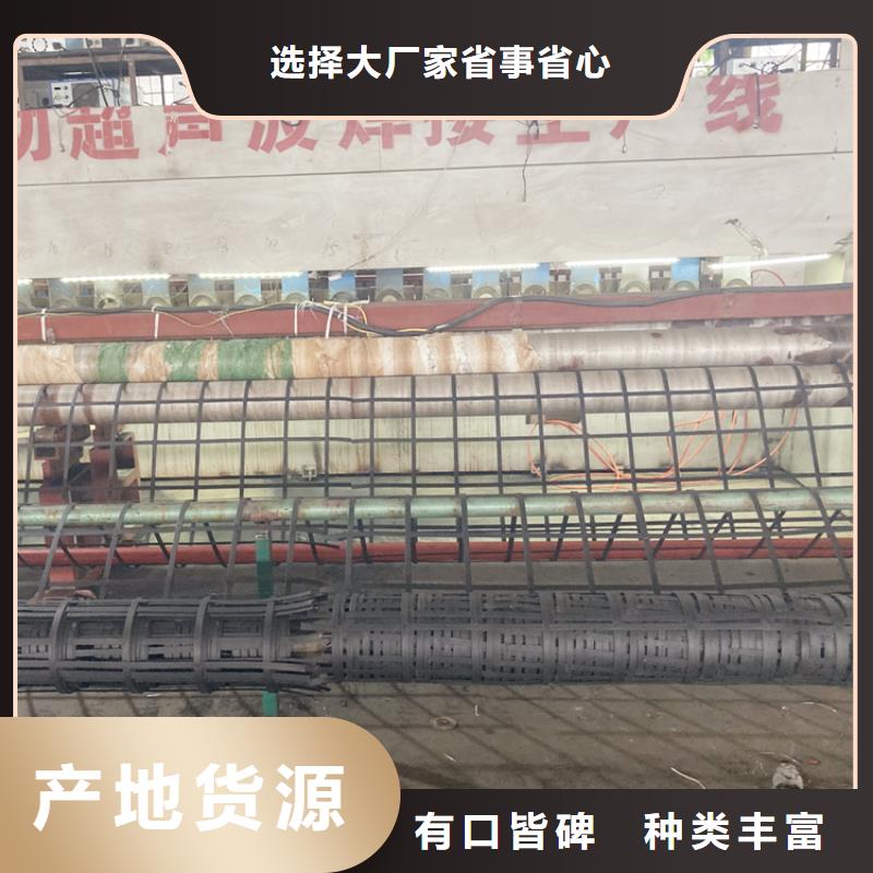 ​钢塑土工格栅三维植被网发货迅速实拍品质保障
