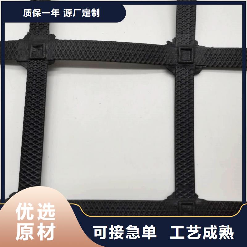 钢塑土工格栅护坡土工网设计制造销售服务一体一站式采购