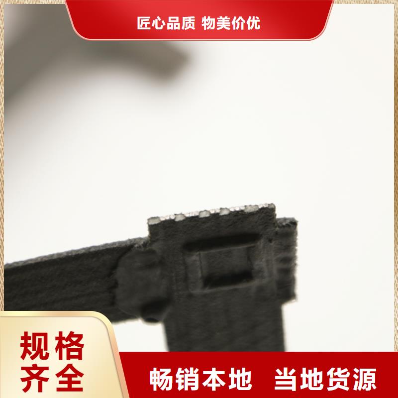 钢塑土工格栅土工布技术先进本地公司