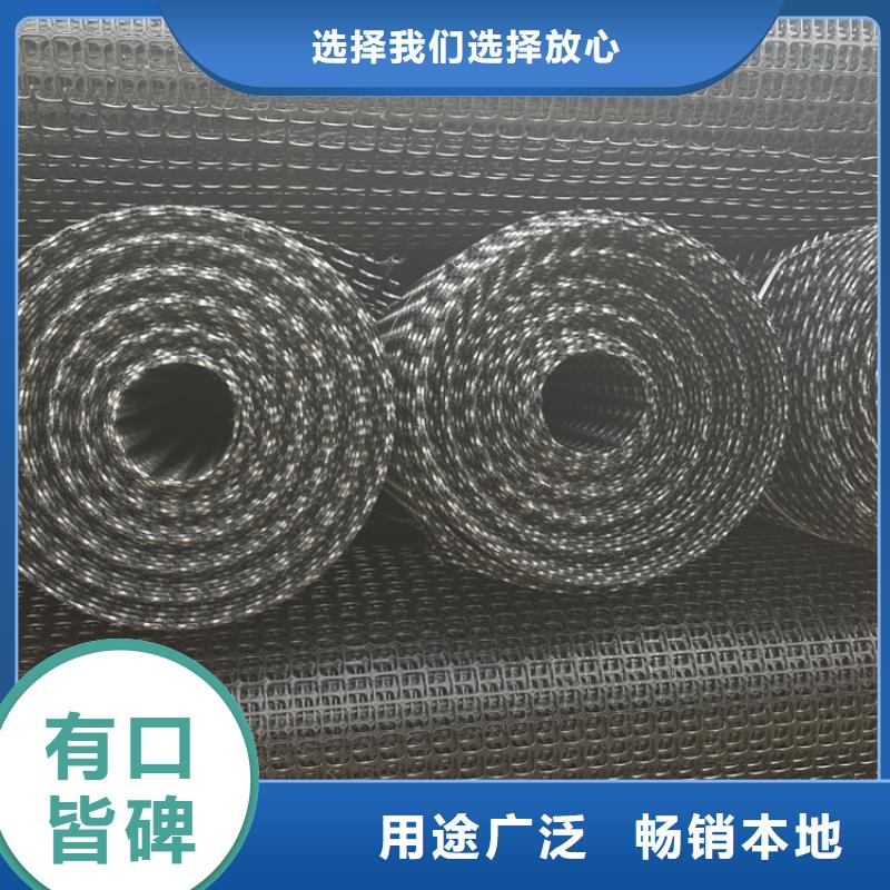 塑料土工格栅-膨润土防水垫大量现货当地制造商