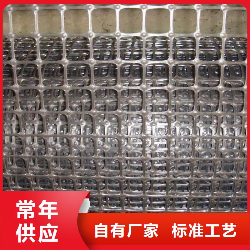 塑料土工格栅【凸结点钢塑土工格栅】精心打造同城品牌