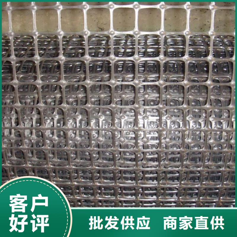 【塑料土工格栅工程布严选好货】当地生产厂家