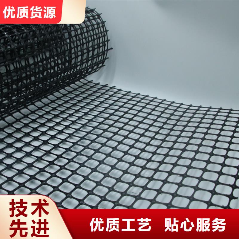 塑料土工格栅-三维植被网质量牢靠本地生产商