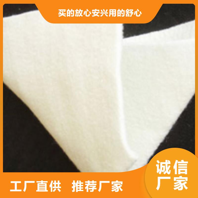 土工布单向塑料土工格栅真诚合作当地货源