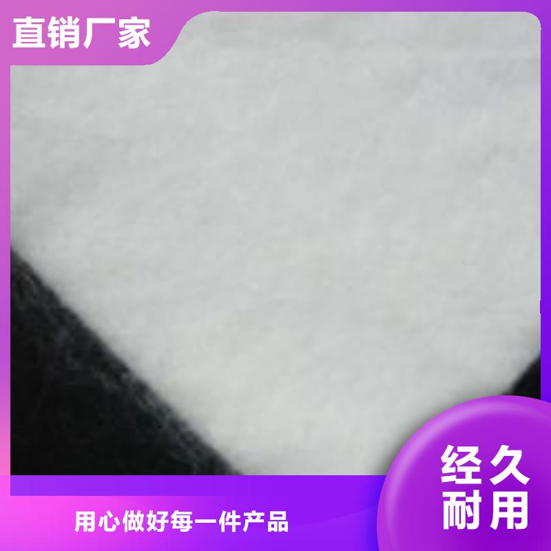 土工布pp焊接土工格栅定制不额外收费匠心工艺