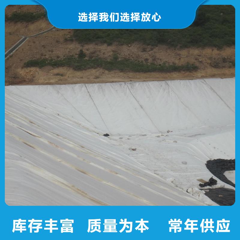 土工布单向塑料格栅支持批发零售支持定制加工