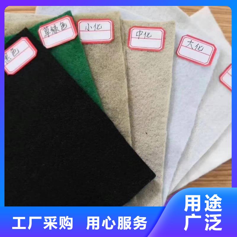 【土工布】三维土工网垫当地厂家值得信赖同城生产厂家