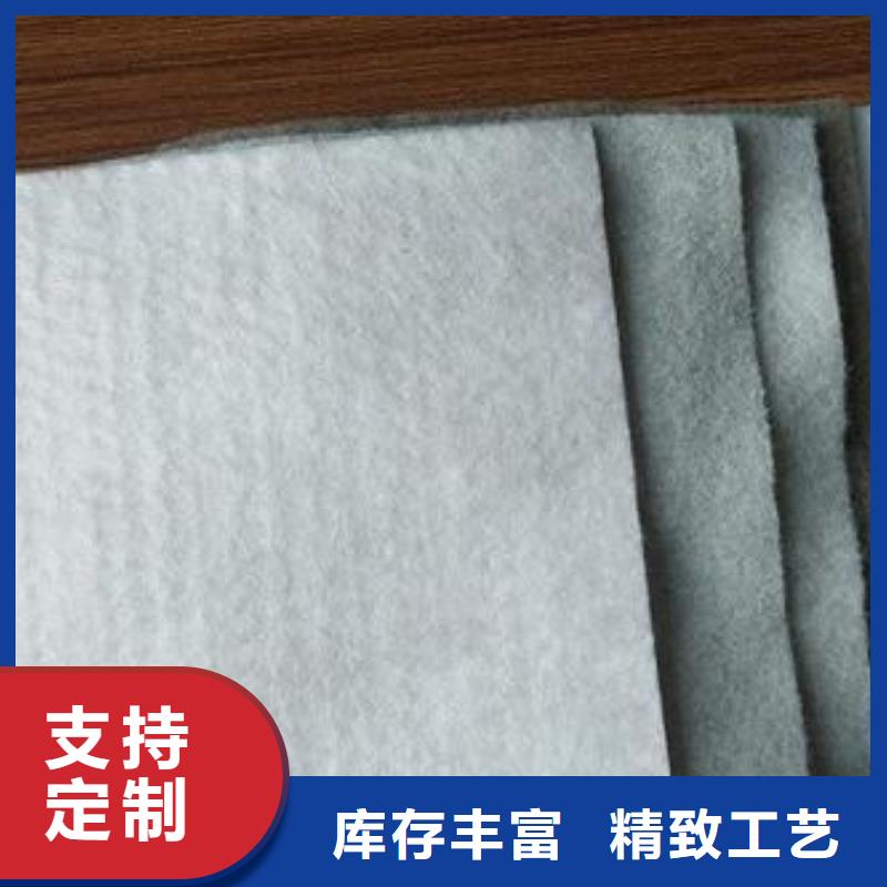土工布凸结点钢塑土工格栅好货直销本地生产商
