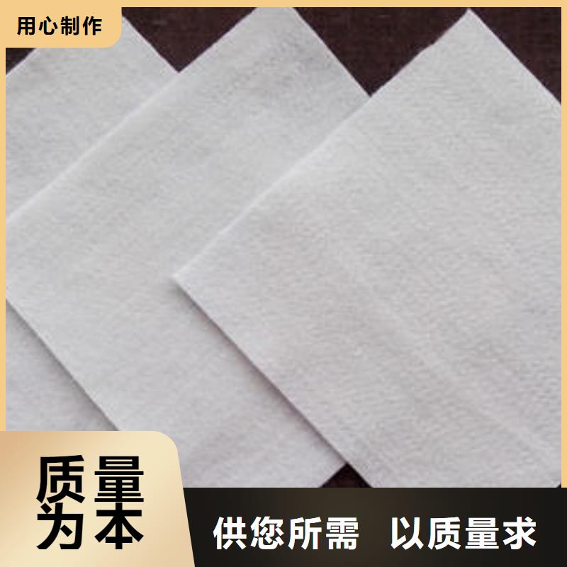 土工布三维土工网垫厂家十分靠谱匠心工艺