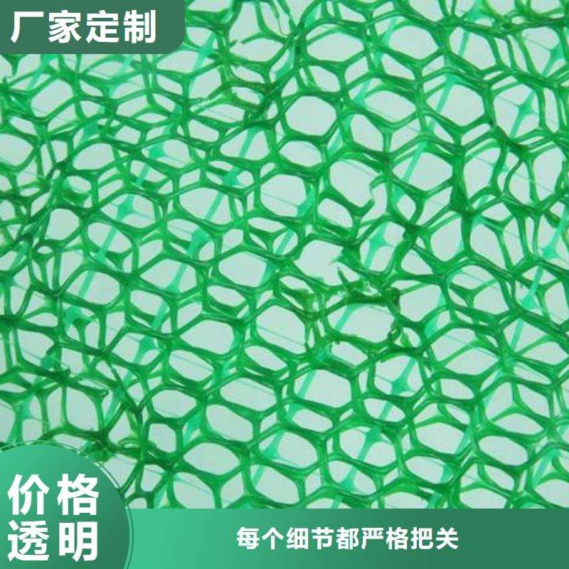 三维植被网三维土工网垫工艺层层把关货源报价