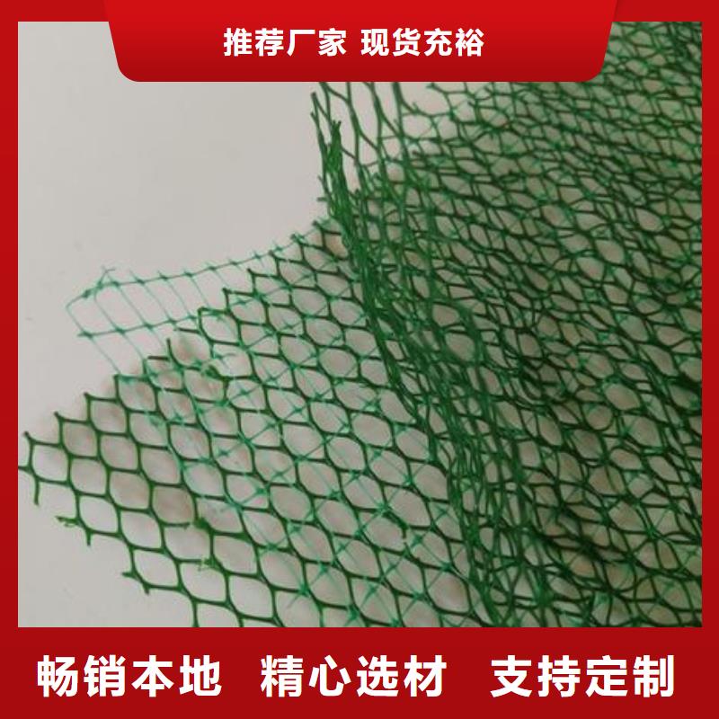 三维植被网土工布实力厂家直销选择大厂家省事省心