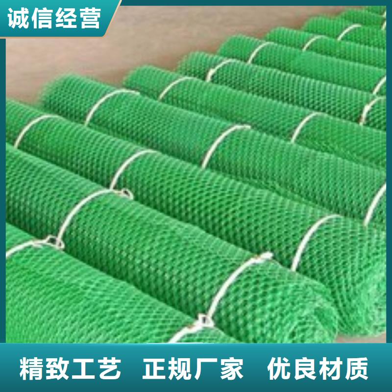 三维植被网玻纤土工格栅主推产品用品质说话