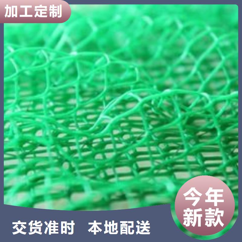 三维植被网,【膨润土防水垫】市场行情物流配货上门