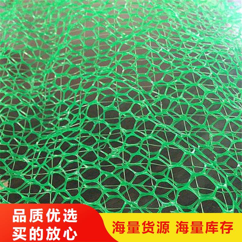 三维植被网双向塑料格栅甄选好物工厂认证